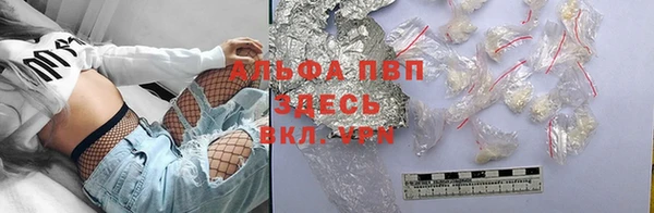 сатива Беломорск