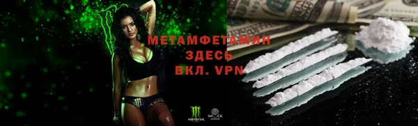 сатива Беломорск