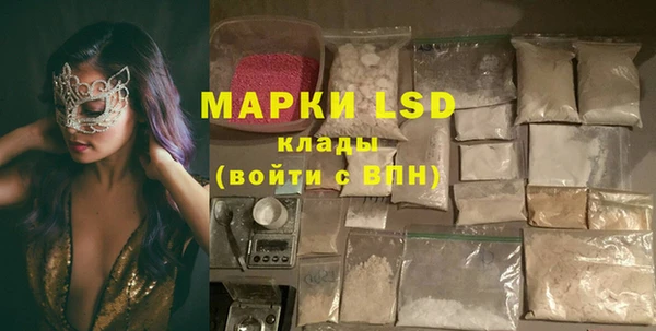 шишки Тавда