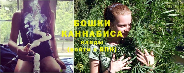 первитин Богданович