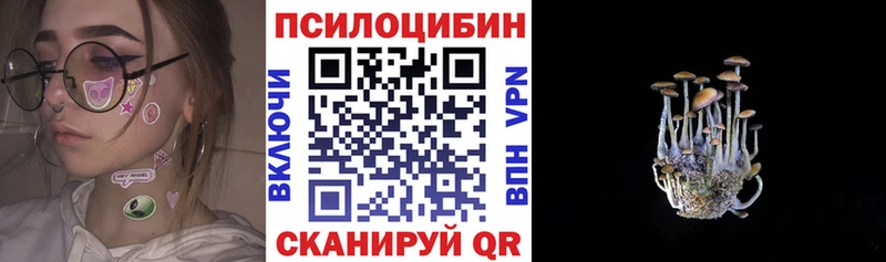 ссылка на мегу маркетплейс  купить  цена  Гудермес  Галлюциногенные грибы Psilocybine cubensis 