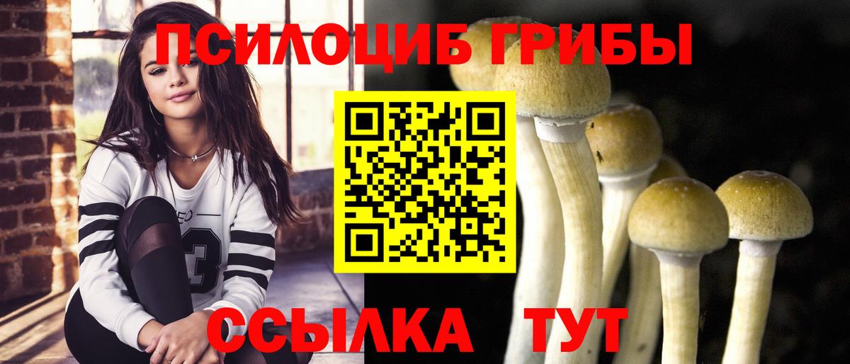 Гудермес  Галлюциногенные грибы GOLDEN TEACHER  купить закладку  Вход с VPN 